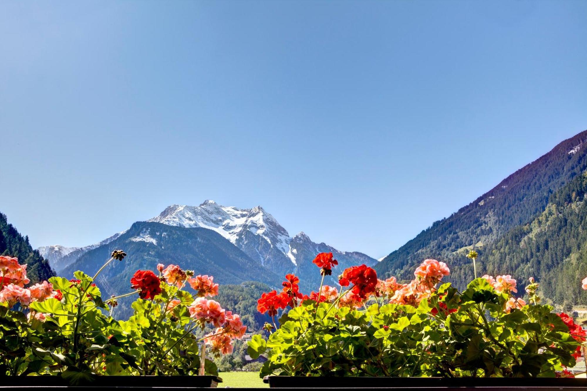 Gaestehaus Oblasser Mayrhofen Extérieur photo