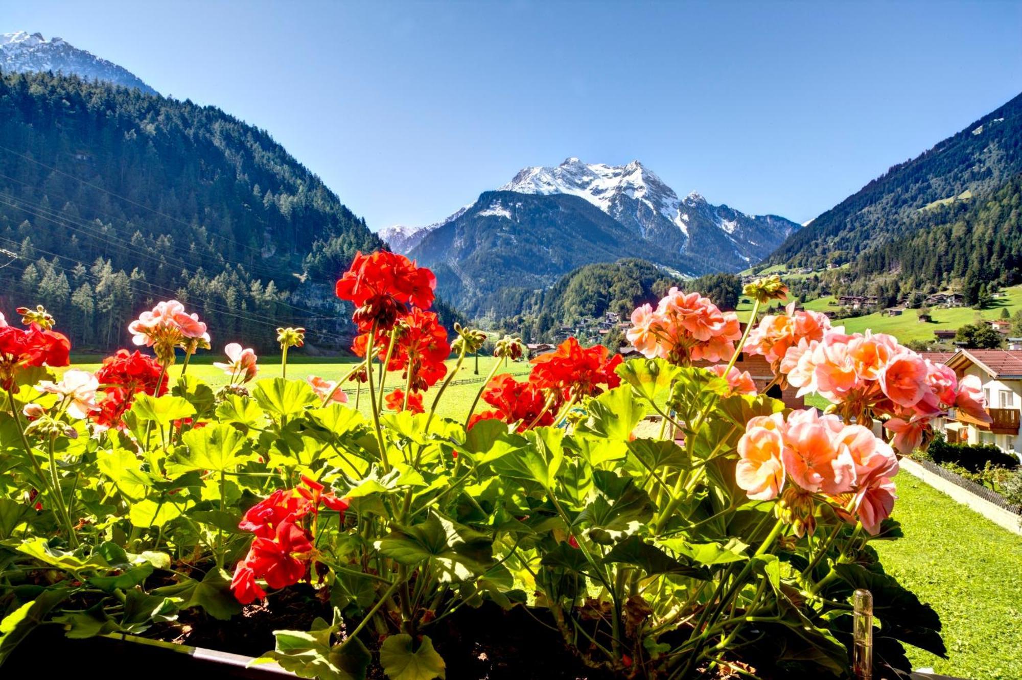 Gaestehaus Oblasser Mayrhofen Extérieur photo